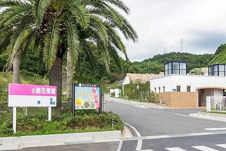 冠山公園